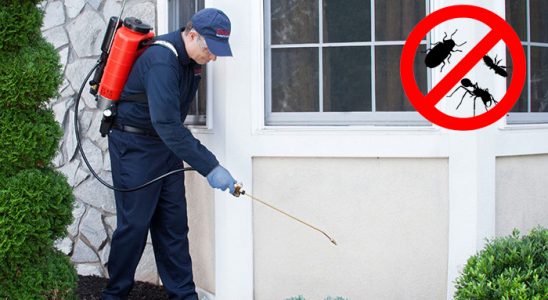 Kiraz Karınca İlaçlama böcek ilaçlama ve haşere kontrolü — ilaclama-tr.com